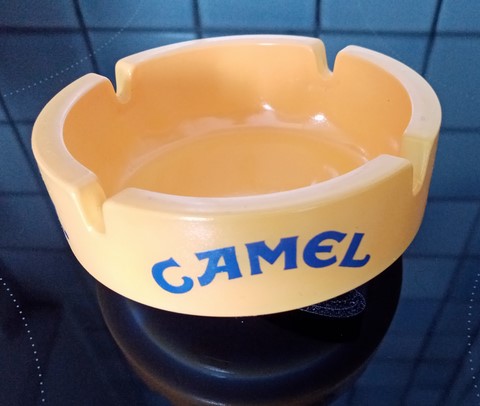 camel